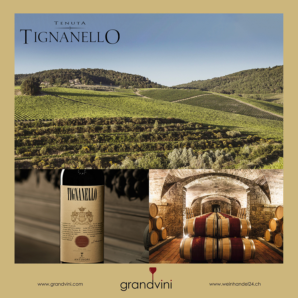 Tenuta Tignanello Weinhandel24.ch Magazine